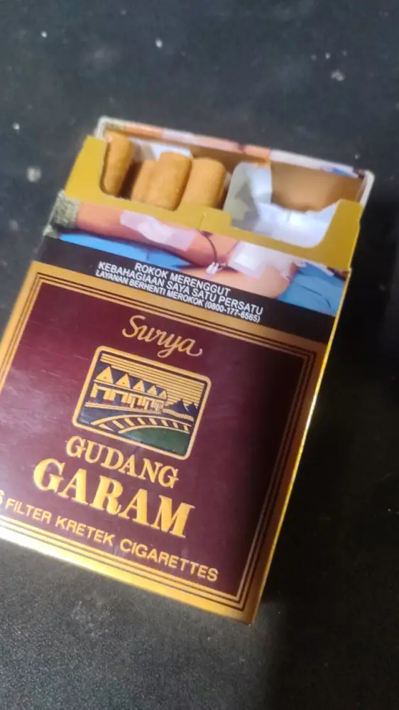 Surya gudang garam