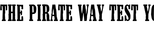 Font : HotBurrito3 Custom Text : The Pirate Way Test your own text here Click to download or to view this font on a tshirt that can be custom printed in Bali