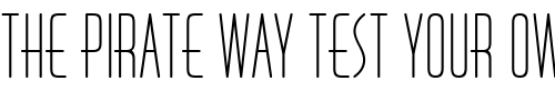 Font : Huxley-Vert-ICG-Alt Custom Text : The Pirate Way Test your own text here Click to download or to view this font on a tshirt that can be custom printed in Bali