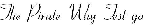 Font : Hyazinth Custom Text : The Pirate Way Test your own text here Click to download or to view this font on a tshirt that can be custom printed in Bali