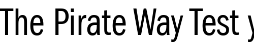Font : ITC-Franklin-Gothic-LT-Book-Compressed Custom Text : The Pirate Way Test your own text here Click to download or to view this font on a tshirt that can be custom printed in Bali