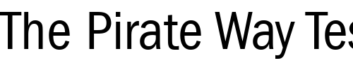Font : ITC-Franklin-Gothic-LT-Book-Condensed Custom Text : The Pirate Way Test your own text here Click to download or to view this font on a tshirt that can be custom printed in Bali