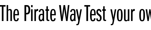 Font : ITC-Franklin-Gothic-LT-Book-Extra-Compressed Custom Text : The Pirate Way Test your own text here Click to download or to view this font on a tshirt that can be custom printed in Bali