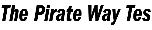 Font : ITC-Franklin-Gothic-LT-Demi-Compressed-Italic Custom Text : The Pirate Way Test your own text here Click to download or to view this font on a tshirt that can be custom printed in Bali