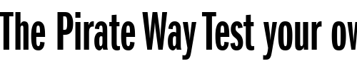 Font : ITC-Franklin-Gothic-LT-Demi-Extra-Compressed Custom Text : The Pirate Way Test your own text here Click to download or to view this font on a tshirt that can be custom printed in Bali