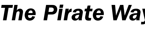 Font : ITC-Franklin-Gothic-LT-Demi-Italic Custom Text : The Pirate Way Test your own text here Click to download or to view this font on a tshirt that can be custom printed in Bali