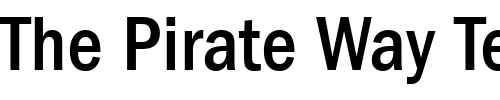 Font : ITC-Franklin-Gothic-LT-Medium-Condensed Custom Text : The Pirate Way Test your own text here Click to download or to view this font on a tshirt that can be custom printed in Bali