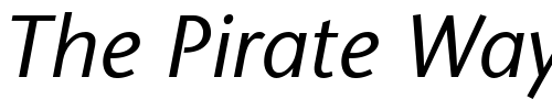 Font : ITC-Stone-Sans-Italic Custom Text : The Pirate Way Test your own text here Click to download or to view this font on a tshirt that can be custom printed in Bali
