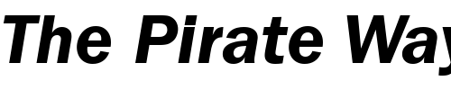 Font : ITCFranklinGothic-Demi-Italic Custom Text : The Pirate Way Test your own text here Click to download or to view this font on a tshirt that can be custom printed in Bali