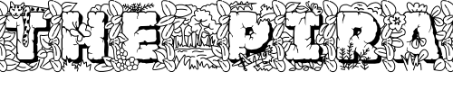 Font : JFJungleRock Custom Text : The Pirate Way Test your own text here Click to download or to view this font on a tshirt that can be custom printed in Bali