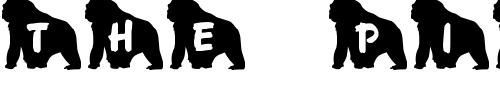 Font : JLR-Koko-Gorilla-Good Custom Text : The Pirate Way Test your own text here Click to download or to view this font on a tshirt that can be custom printed in Bali