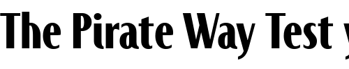 Font : JandoniMedium Custom Text : The Pirate Way Test your own text here Click to download or to view this font on a tshirt that can be custom printed in Bali