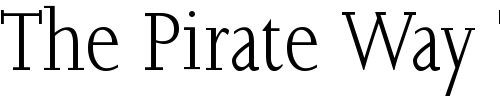 Font : JoaoCond-Light Custom Text : The Pirate Way Test your own text here Click to download or to view this font on a tshirt that can be custom printed in Bali