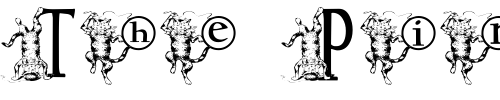 Font : KGKATZ2 Custom Text : The Pirate Way Test your own text here Click to download or to view this font on a tshirt that can be custom printed in Bali