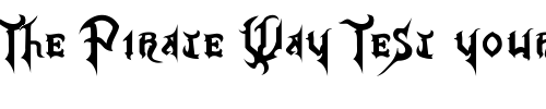 Font : Kingdom-Hearts Custom Text : The Pirate Way Test your own text here Click to download or to view this font on a tshirt that can be custom printed in Bali