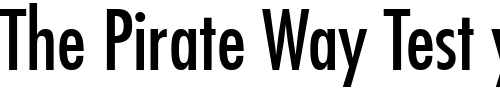 Font : Kudos-Condensed-SSi-Condensed Custom Text : The Pirate Way Test your own text here Click to download or to view this font on a tshirt that can be custom printed in Bali