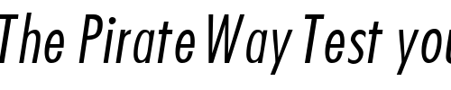 Font : KudosLightCondSSK-Italic Custom Text : The Pirate Way Test your own text here Click to download or to view this font on a tshirt that can be custom printed in Bali