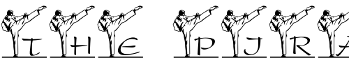Font : LCR-Spencer-s-Karate-Kick Custom Text : The Pirate Way Test your own text here Click to download or to view this font on a tshirt that can be custom printed in Bali