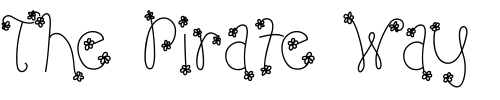 Font : LD-Flower-Dot Custom Text : The Pirate Way Test your own text here Click to download or to view this font on a tshirt that can be custom printed in Bali