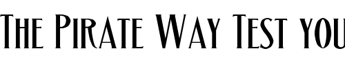 Font : LHF-Matthews-Thin-BETA Custom Text : The Pirate Way Test your own text here Click to download or to view this font on a tshirt that can be custom printed in Bali