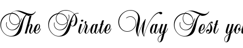 Font : LeiScriptSSk Custom Text : The Pirate Way Test your own text here Click to download or to view this font on a tshirt that can be custom printed in Bali