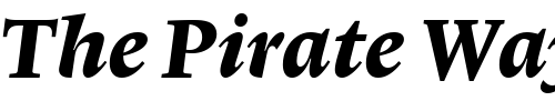 Font : Lexicon-No1-Italic-E-Med Custom Text : The Pirate Way Test your own text here Click to download or to view this font on a tshirt that can be custom printed in Bali
