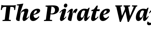 Font : Lexicon-No1-Italic-E-Tab Custom Text : The Pirate Way Test your own text here Click to download or to view this font on a tshirt that can be custom printed in Bali