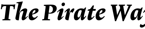 Font : Lexicon-No2-Italic-E-Med Custom Text : The Pirate Way Test your own text here Click to download or to view this font on a tshirt that can be custom printed in Bali