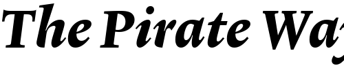 Font : Lexicon-No2-Italic-E-Tab Custom Text : The Pirate Way Test your own text here Click to download or to view this font on a tshirt that can be custom printed in Bali