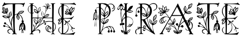 Font : Lilith-Initials-Regular Custom Text : The Pirate Way Test your own text here Click to download or to view this font on a tshirt that can be custom printed in Bali
