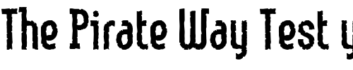 Font : LinotypeMethod-Eroded Custom Text : The Pirate Way Test your own text here Click to download or to view this font on a tshirt that can be custom printed in Bali