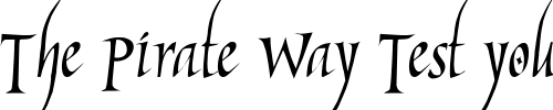 Font : MarigoldWild Custom Text : The Pirate Way Test your own text here Click to download or to view this font on a tshirt that can be custom printed in Bali