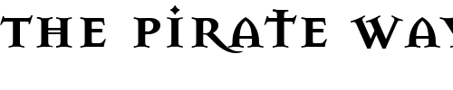 Font : MasonSerifSuperBold Custom Text : The Pirate Way Test your own text here Click to download or to view this font on a tshirt that can be custom printed in Bali