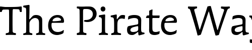 Font : MendozaRomanITC-Book Custom Text : The Pirate Way Test your own text here Click to download or to view this font on a tshirt that can be custom printed in Bali