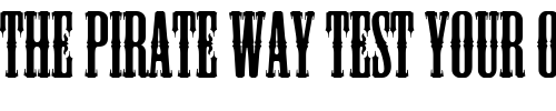 Font : Mesquito Custom Text : The Pirate Way Test your own text here Click to download or to view this font on a tshirt that can be custom printed in Bali