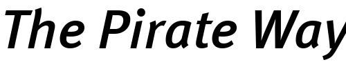 Font : MetaMedium-Italic-Cyrillic Custom Text : The Pirate Way Test your own text here Click to download or to view this font on a tshirt that can be custom printed in Bali
