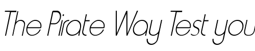 Font : Metro-Condensed-Italic Custom Text : The Pirate Way Test your own text here Click to download or to view this font on a tshirt that can be custom printed in Bali