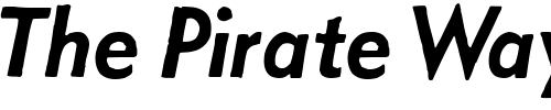 Font : Metro-Medium-Oblique-HPLHS Custom Text : The Pirate Way Test your own text here Click to download or to view this font on a tshirt that can be custom printed in Bali