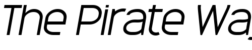 Font : MonarkLight-Oblique Custom Text : The Pirate Way Test your own text here Click to download or to view this font on a tshirt that can be custom printed in Bali