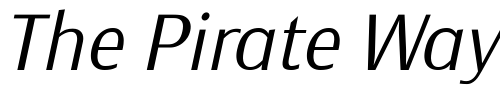 Font : Monem-ExtraLight-Italic-PDF Custom Text : The Pirate Way Test your own text here Click to download or to view this font on a tshirt that can be custom printed in Bali