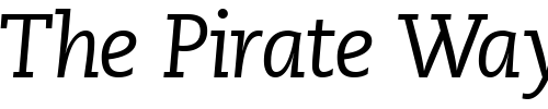 Font : MonologueSSK-Italic Custom Text : The Pirate Way Test your own text here Click to download or to view this font on a tshirt that can be custom printed in Bali
