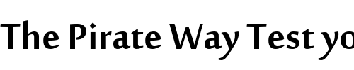 Font : MoolBoran Custom Text : The Pirate Way Test your own text here Click to download or to view this font on a tshirt that can be custom printed in Bali