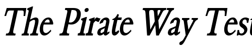 Font : Nadine-2-Thin-BoldItalic Custom Text : The Pirate Way Test your own text here Click to download or to view this font on a tshirt that can be custom printed in Bali
