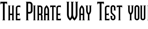 Font : Namesake-NF Custom Text : The Pirate Way Test your own text here Click to download or to view this font on a tshirt that can be custom printed in Bali