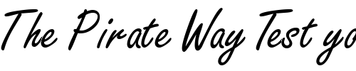 Font : NanoScriptSSK Custom Text : The Pirate Way Test your own text here Click to download or to view this font on a tshirt that can be custom printed in Bali