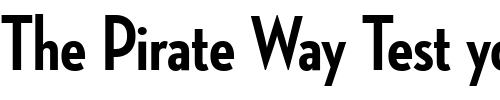 Font : NeutrafaceCondensedPS-Bold Custom Text : The Pirate Way Test your own text here Click to download or to view this font on a tshirt that can be custom printed in Bali