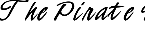 Font : NewCityDNA Custom Text : The Pirate Way Test your own text here Click to download or to view this font on a tshirt that can be custom printed in Bali