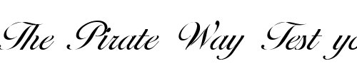 Font : NicholasBecker-Light Custom Text : The Pirate Way Test your own text here Click to download or to view this font on a tshirt that can be custom printed in Bali