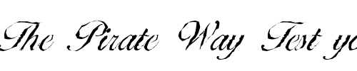 Font : NicholasBeckerAntique-Light-Regular Custom Text : The Pirate Way Test your own text here Click to download or to view this font on a tshirt that can be custom printed in Bali