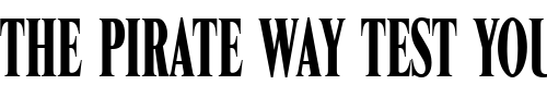 Font : NimbusRomModComD Custom Text : The Pirate Way Test your own text here Click to download or to view this font on a tshirt that can be custom printed in Bali